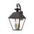 Frankly 4 - Bulb 27.5" Outdoor Wall Lantern-1091048928