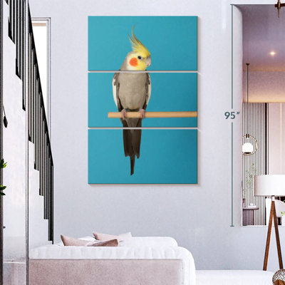 Brampt Cockatiel On Blue