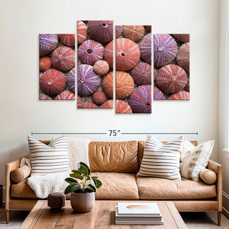 Brampt Empty Sea Urchin Shells, 42" H x 68" W