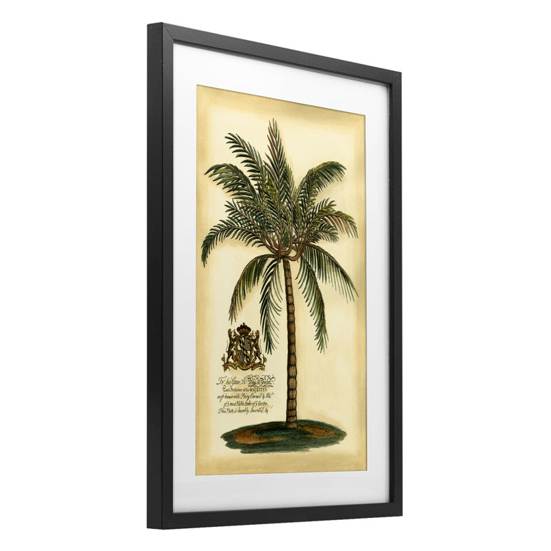 «British Colonial Palm», reproduction sous verre encadrée, conception par Vision Studio, H 23 po x l 17 po