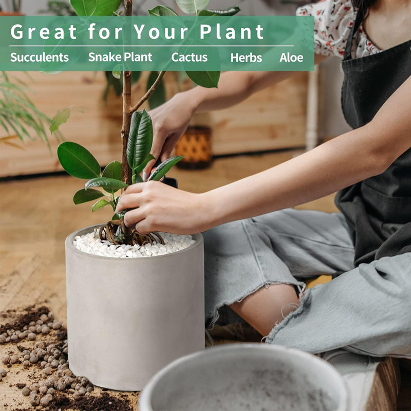 Pot à fleurs d'intérieur en ciment pour plantation - Ciment à fleurs en argile avec trou de drainage pour jardin, maison, bureau, gris