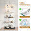 Display Case-128768449