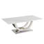 Table basse rectangulaire moderne de 50,4 pouces, plateau en panneau de fibres à densité moyenne à motif marbré, base en acier inoxydable argenté.