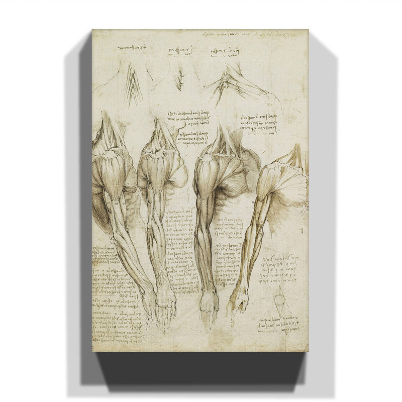 Leonardo Da Vinci - Wrapped Canvas Painting, 76cm H x 50cm W