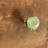 Jones 1.4" Diameter Mushroom Knob Multipack-38295868