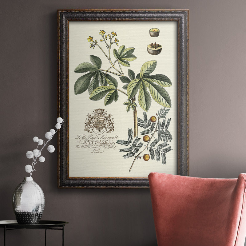 Toile encadrée de qualité supérieure Imperial Foliage I - prête à être accrochée, H 20 po x l 16 po x P 2,5 po