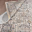 7 Oriental Area Rug in Ivory/Gray-1789674362