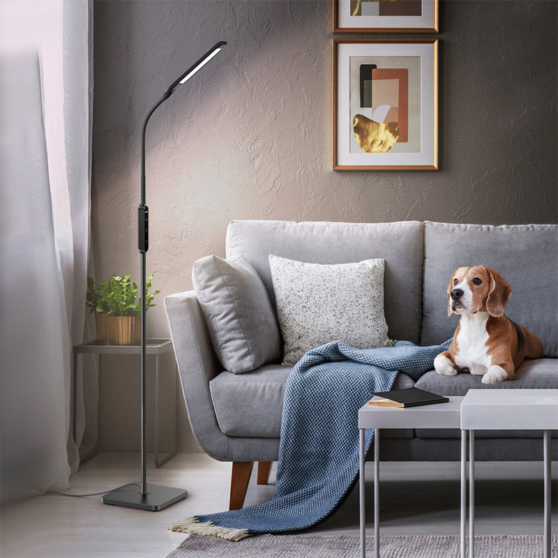 Valpas 65'' LED Traditional Floor Lamp