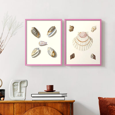 Pastel Knorr Shells III - reproduction encadrée de qualité supérieure - prête à être accrochée - aucun clou requis - aucun clou requis