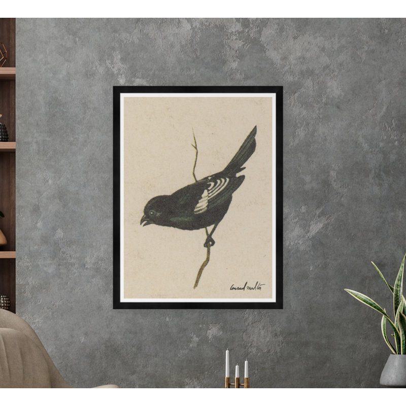 Bruant Lark