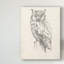 « hibou portrait ii », reproduction de dessin sur toile tendue-312368818