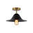 1-Light 12'' Semi Flush Mount