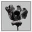 Tidal Wilt II Print by Oliver Gal-862276131-862276156