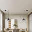 Atticus 1 - Light Black Single Pendant
