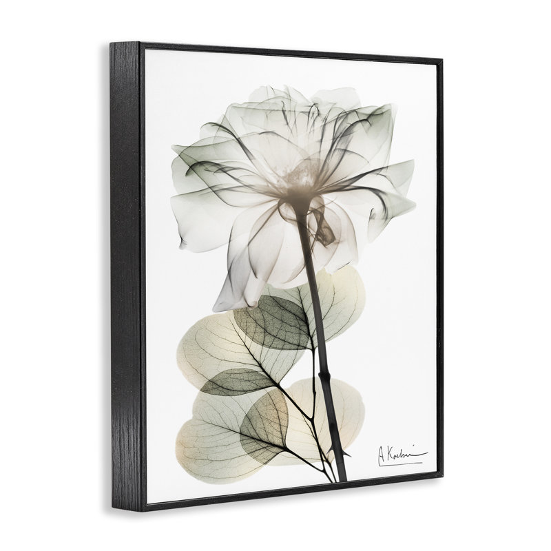 Estampe numérique minimaliste moderne, design par Albert Koetsier, H 20 po x l 16 po, Giclée encadrée noir minuit