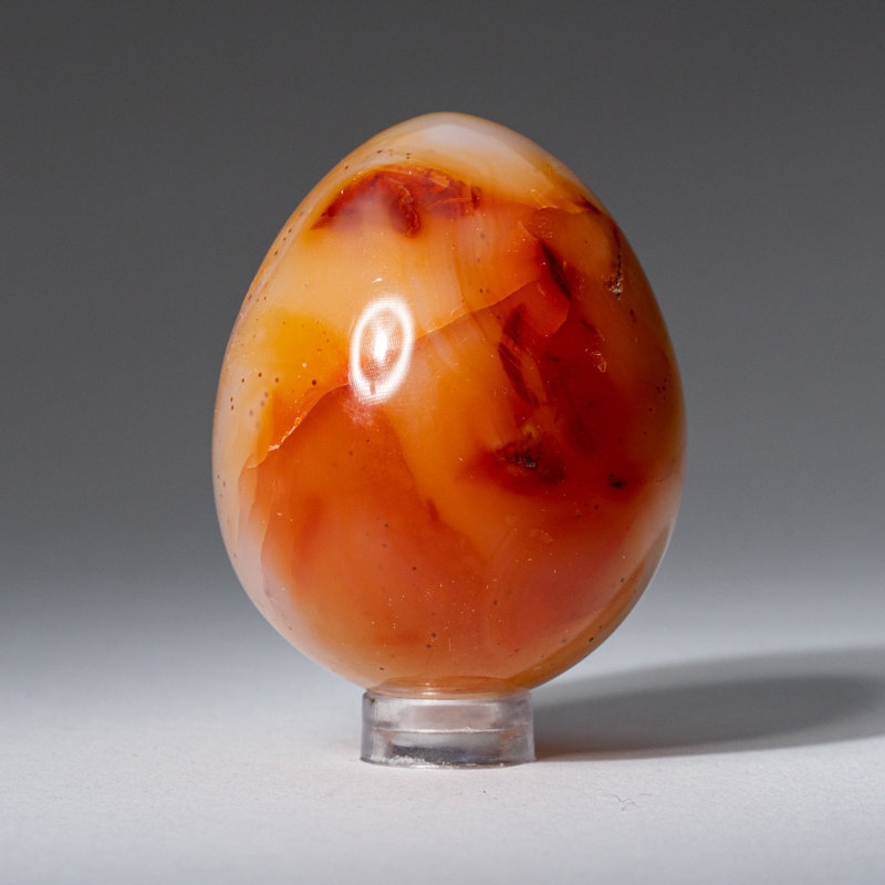 Véritable agate de cornaline (petit) œuf de Madagascar