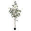 Arbre en pot Winnetka-27703840