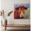 Moo Moo I By John Beard - Gallery Wrapped Canvas Print-1455022933
