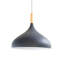 Marlborough 1 - Light Dome Pendant-1050460066