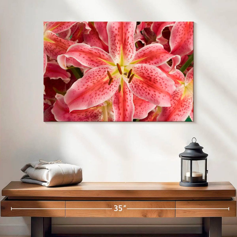Fleurs de lys Harnek Stargazer, H 16 po x l 24 po