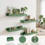 Tablettes flottantes festonnées en bois de pin massif, ensemble de 4 tablettes murales pour chambre de bébé, rangement, décoration de chambre