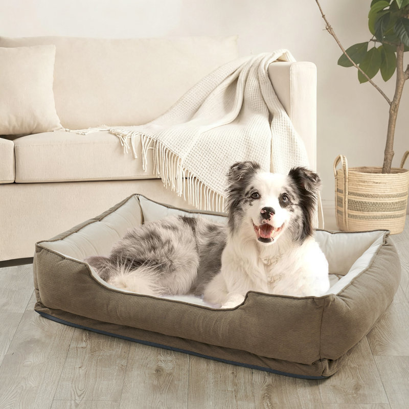 Polyester Pet Bed, 27.9cm H x 88.9cm W x 121.9cm D