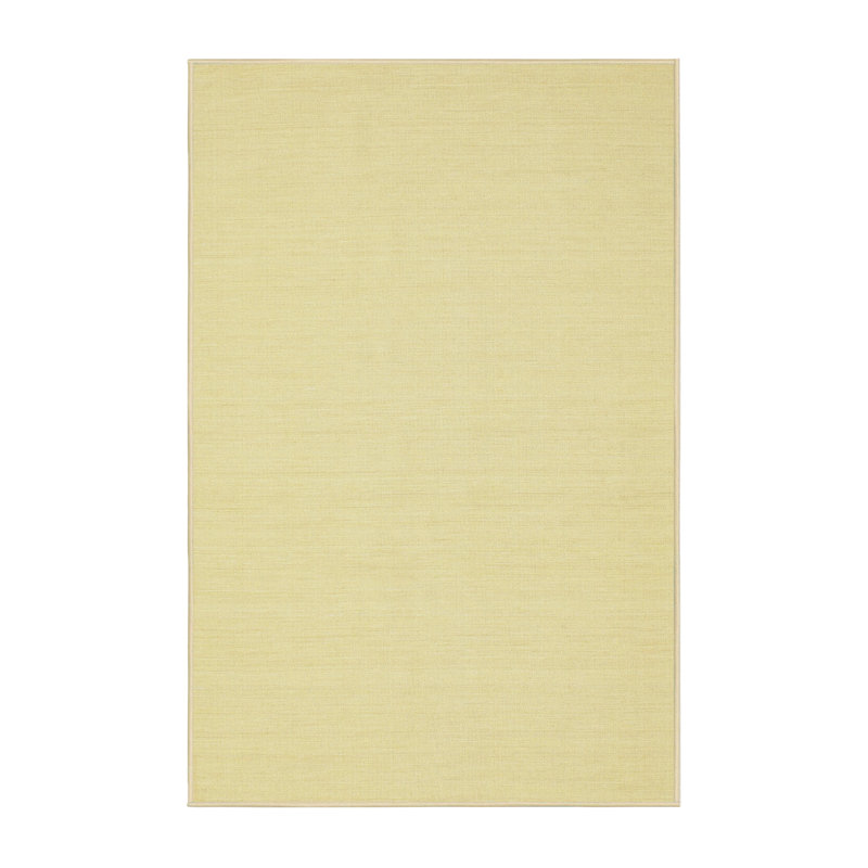 Tapis contemporain brun clair, Rectangle 2 pi x 3 pi