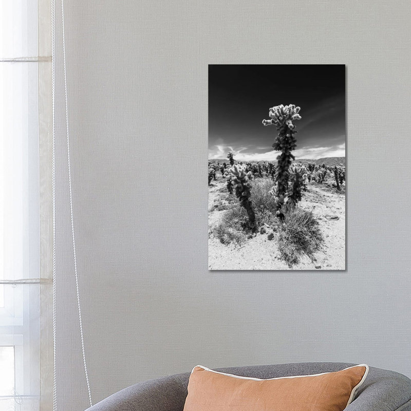 Cholla Cactus Garden, Joshua Tree National Park by Melanie Viola - Wrapped Canvas Print, 66.04 cm H x 45.72 cm W x 1.91 cm D