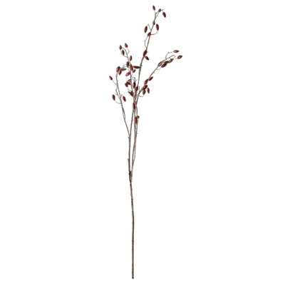 Aneissa Arrangement