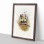 Superb Warblers by Elizabeth Gould - Picture Frame Art Prints-55616805-55616806