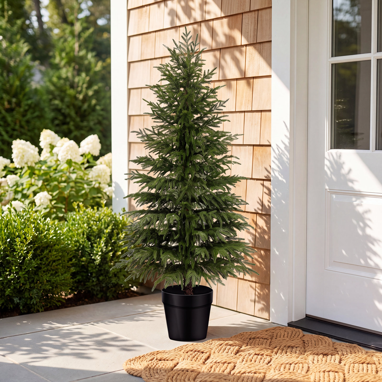 6' Pine Tree, 5' H