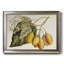 " Tropical Foliage & Fruit IV "-1699318411