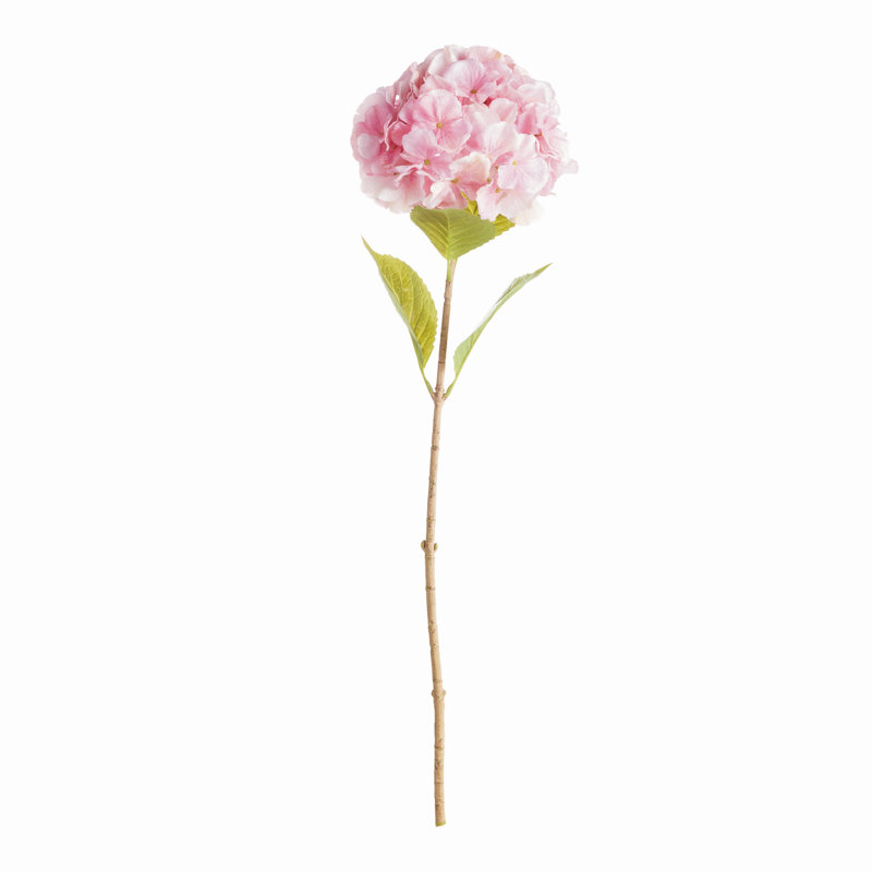 TIGES MOPHEAD HYDRANGEA 30,5 po, Rose