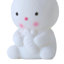 DIY Bunny Night Light Craft Painting Kit