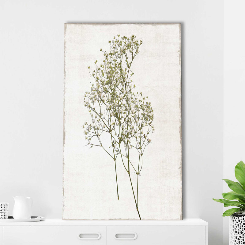 Farmhouse Pressed Flower I - Peinture, L 18 po x H 30 po, Toile tendue