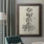 Toile encadrée de qualité supérieure antique noir et blanc botanique III - prête à être accrochée-73980689