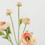 Ranunculus Faux Floral-1238556654