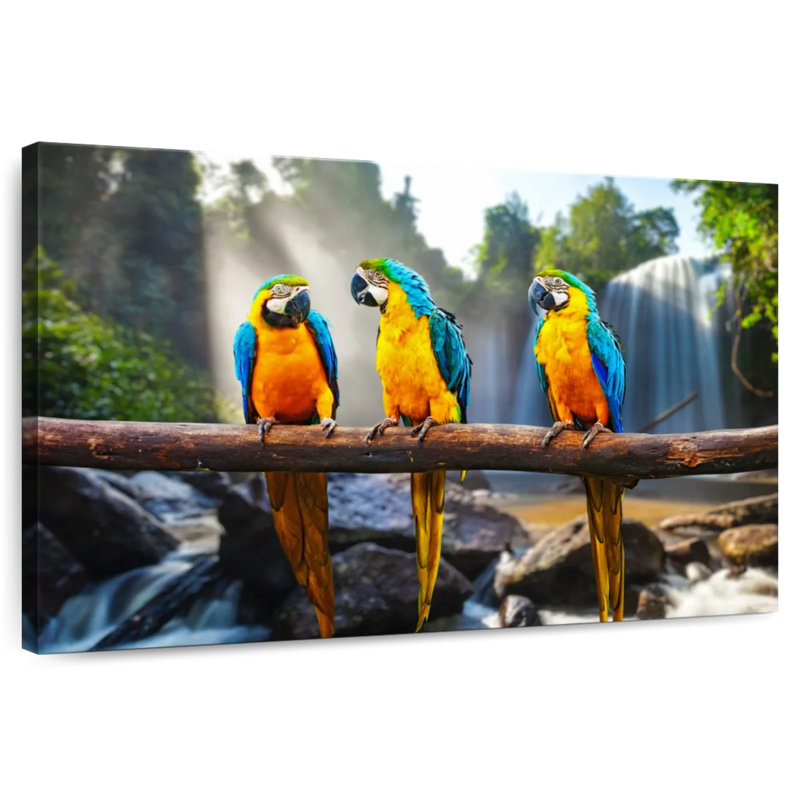 Brampt Macaw Friends, 16" H x 24" W