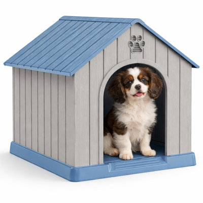 Grande niche pour chien résistante aux intempéries