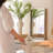 Rectangle Solid Wood Frame Wall Mirror-1824292525