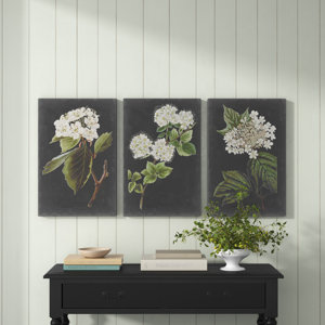Dramatic White Flowers I - 3 Piece Wrapped Canvas Graphic Art Print Set