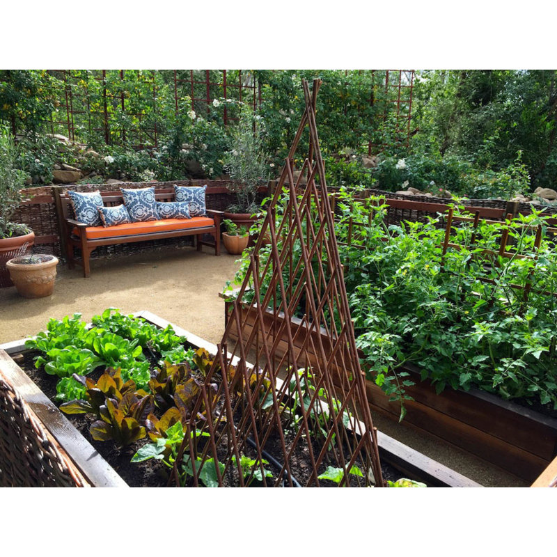 Willow Expanding Teepe Trellis, Brown, 60" H x 12" W x 1" D