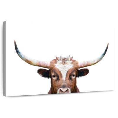 Peeking Long Horn
