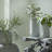 Harvest Medium Resin Pot Planter-49671627-49680153
