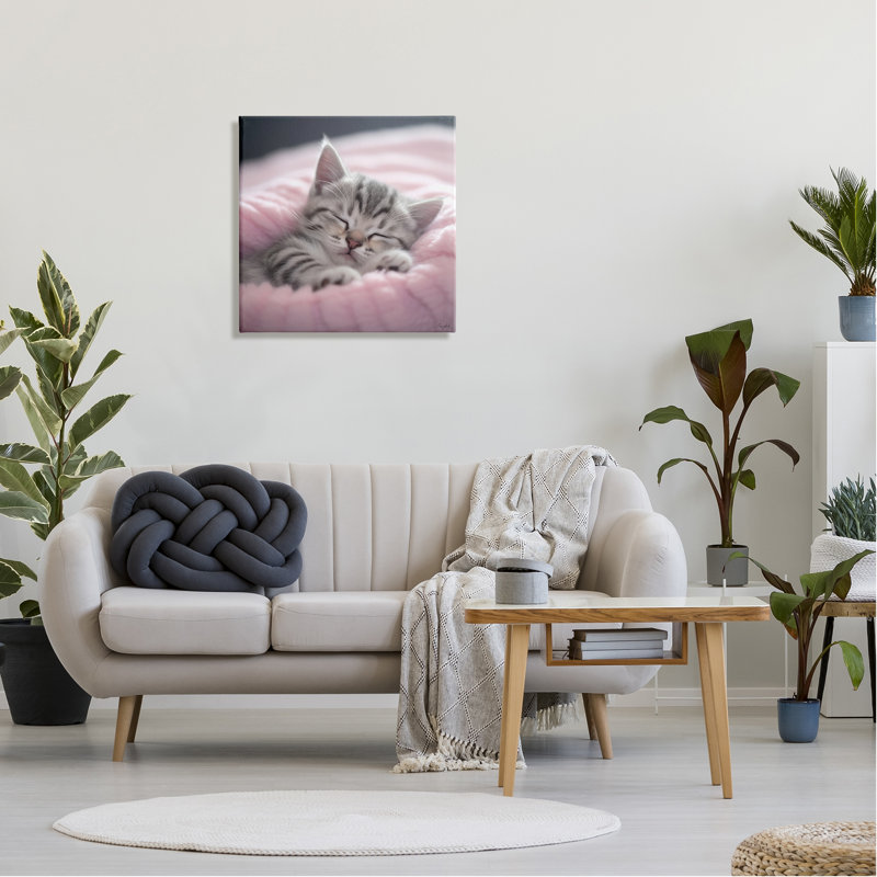" Soft Kitten Tucked In " by Roozbeh, 24" H x 24" W x 1.5" D