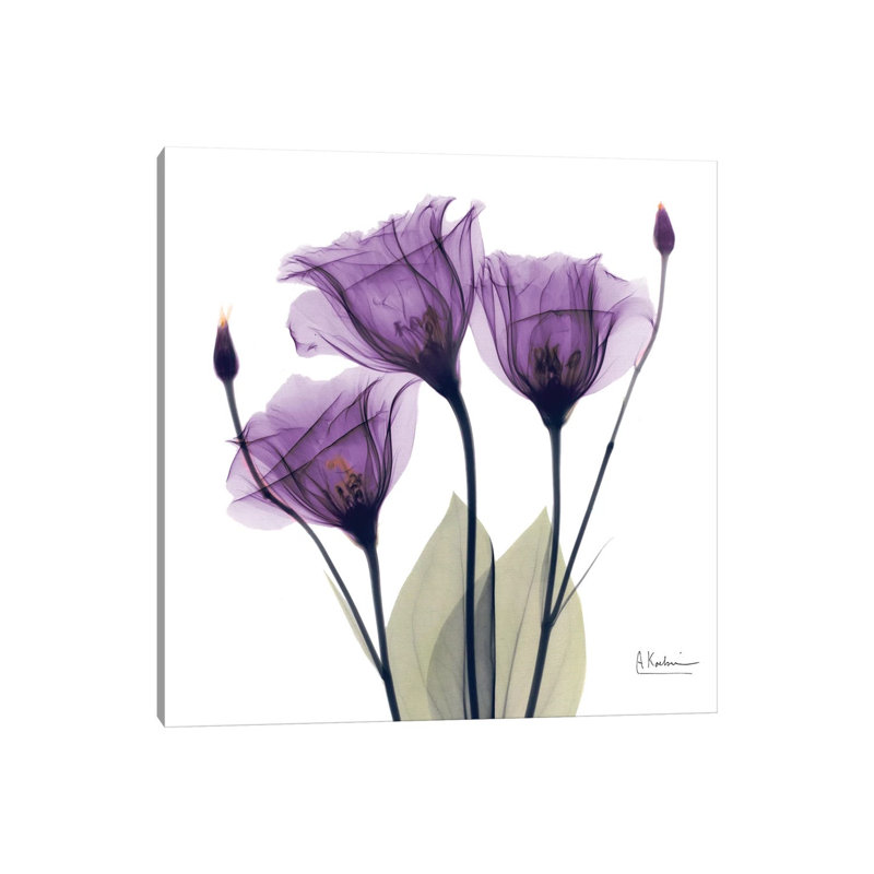 Gentian Hope by Albert Koetsier - Wrapped Canvas Print, 45.72 cm H x 45.72 cm W x 1.91 cm D