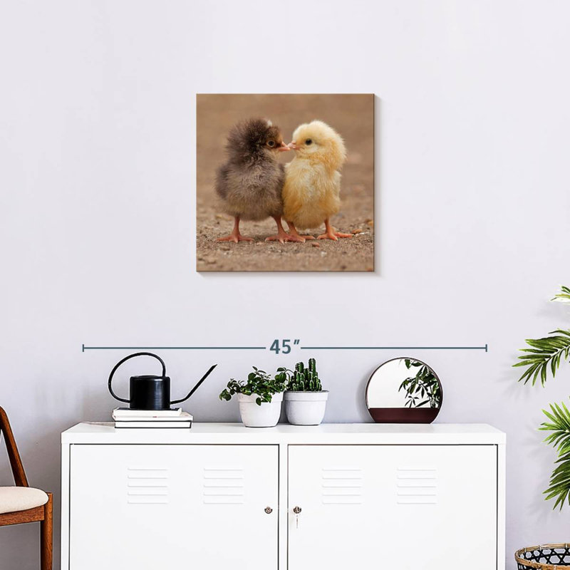 Crowle picorant des poussins, H 20 po x l 20 po