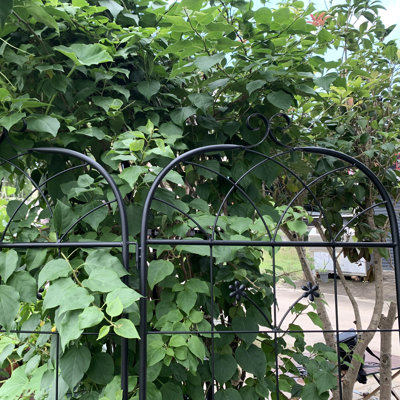 Paquet de 2 treillis pour plantes d'intérieur / extérieur en métal, 20 po x 71 po, thermolaqué pour la prévention de la rouille, treillis idéal pour jardin
