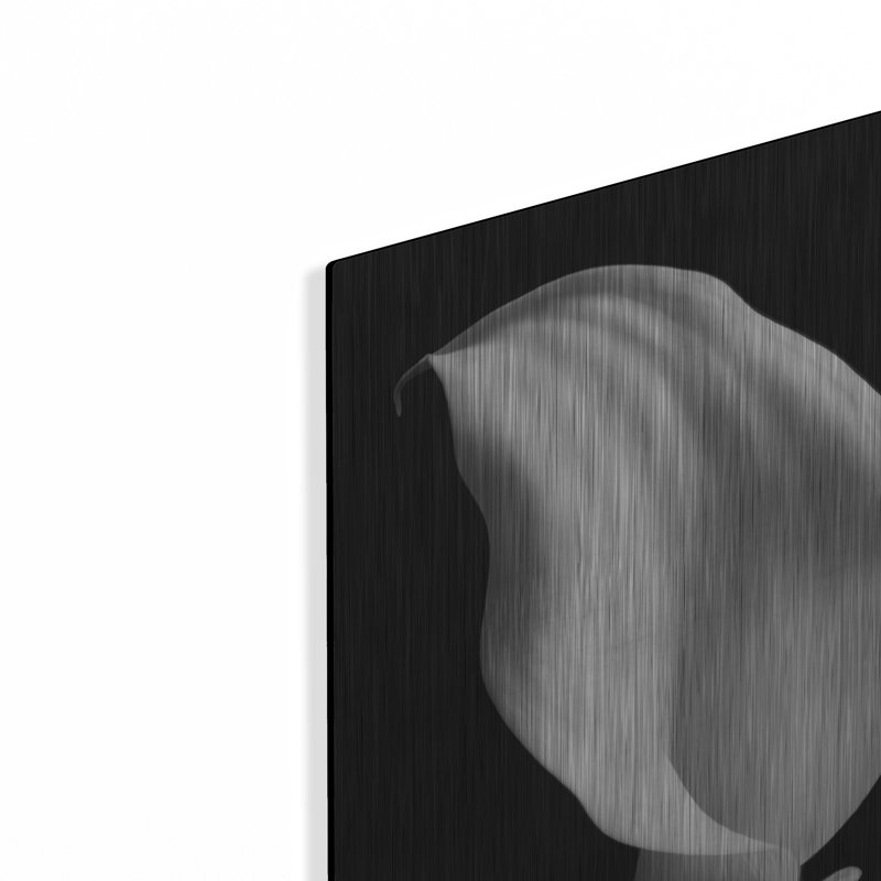 "Lily On Black 02" par Tom Quartermaine, H 24 po x l 16 po