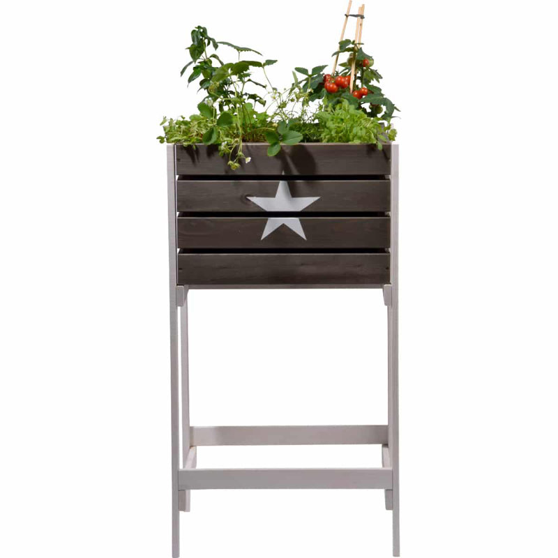 Aakil Wood Raised Garden Bed